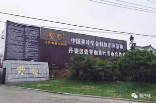 丹徒找準 發力點 做強茶產業