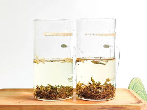 炒青與烘青茉莉花茶的對比,三萬昌碧螺茉莉?qū)Ρ烫讹h雪特級茉莉