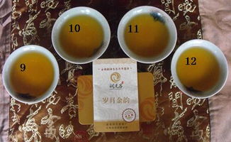 一茶一世界，一飲一傾心 潤元昌歲月金韻茶樣試喝體驗