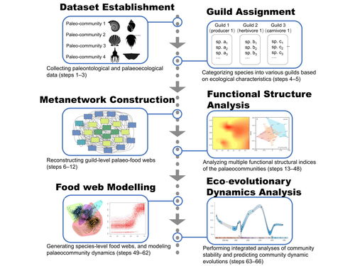 科學研究，技術先行——我校研究團隊創新研發生態模擬方法體系