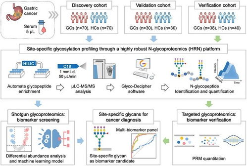 大連化物所成功開(kāi)發(fā)高精度蛋白質(zhì)組分析系統(tǒng)，初步臨床結(jié)果亮眼